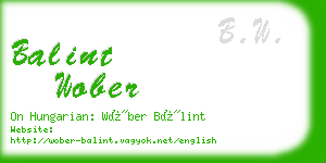 balint wober business card